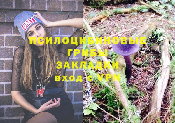 бошки Михайловск