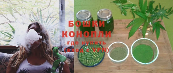 соль ск Михайлов